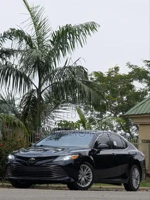 Toyota Camry XLE FWD 2020 Gray