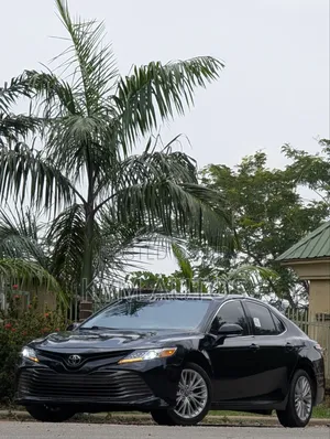 Toyota Camry XLE FWD 2020 Gray