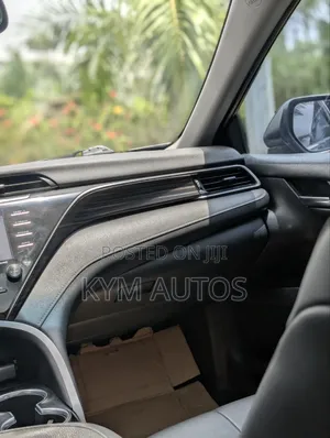 Toyota Camry XLE FWD 2020 Gray