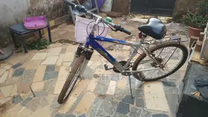 MTN Roadmaster Bicycle
