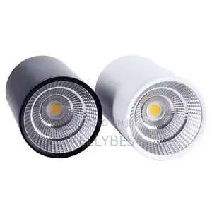 Cantilever Light