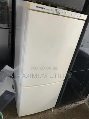 Liebherr Double Door 252liters Refrigerator