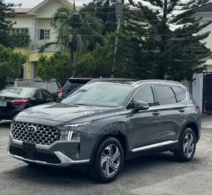 Hyundai Santa Fe 2024 Gray