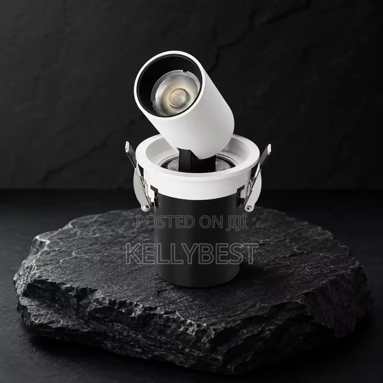 Adjustable Spot Light