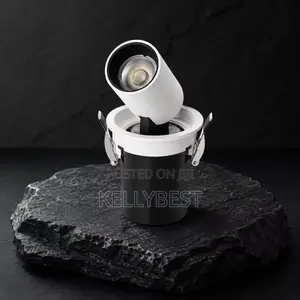 Adjustable Spot Light