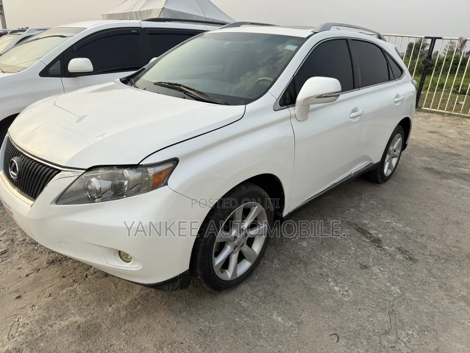 Lexus RX 2010 White
