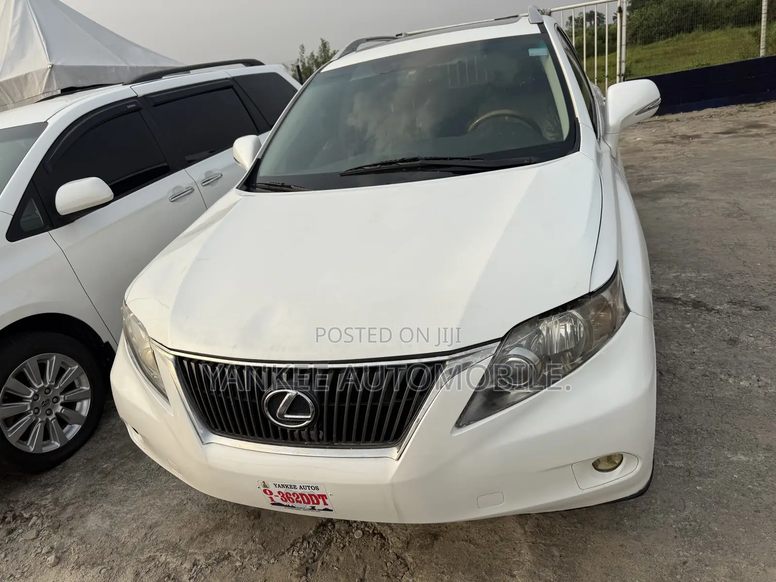 Lexus RX 2010 White