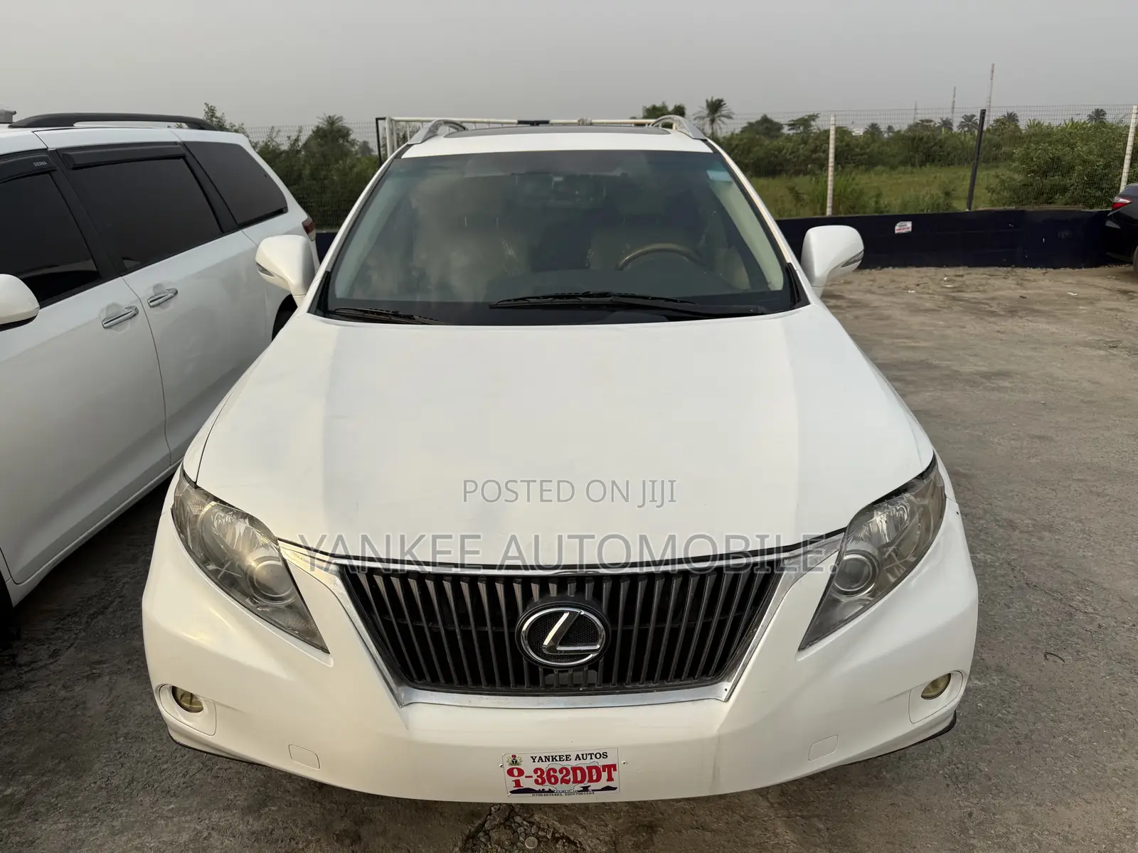 Lexus RX 2010 White