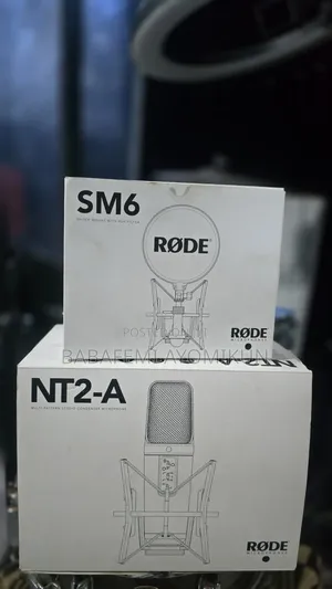 Rhode Nt2a Mic