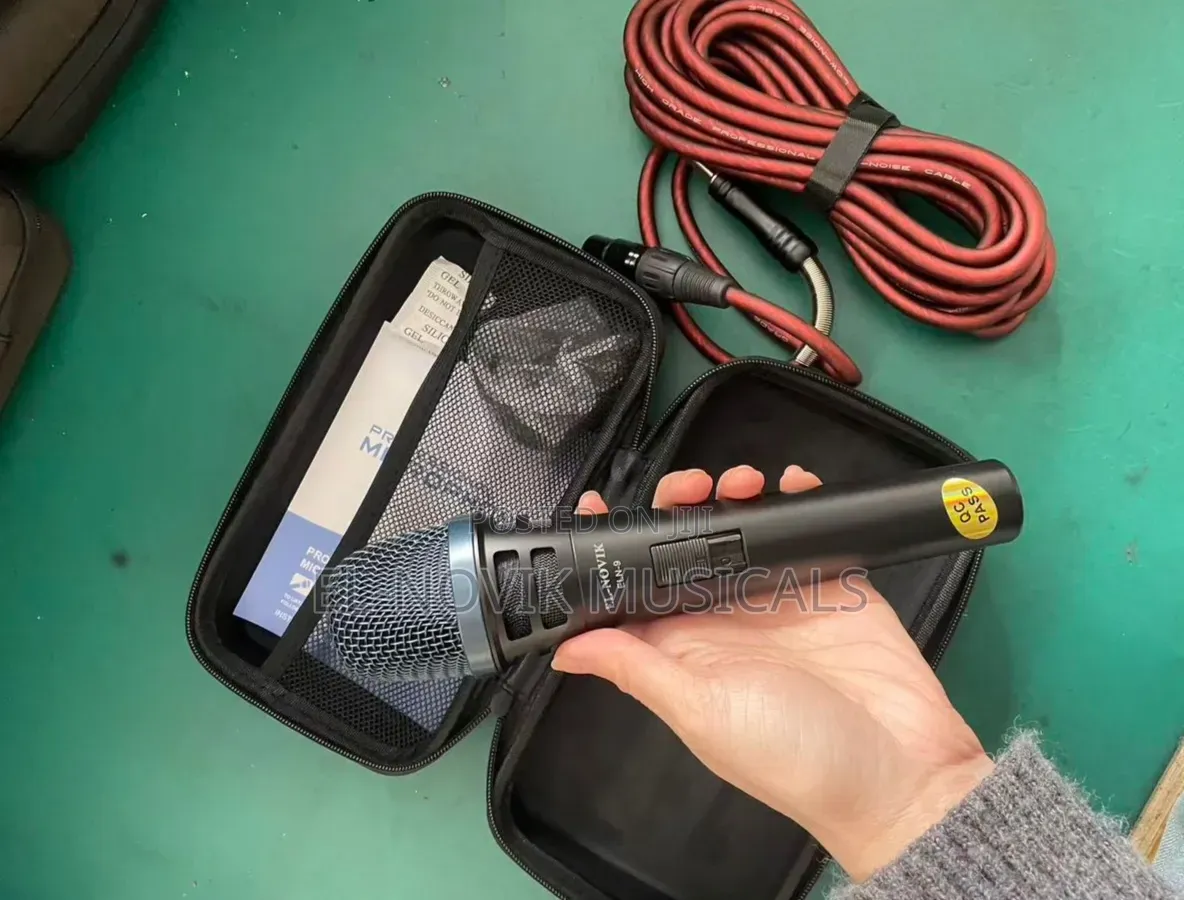 Handheld Dynamic Microphone