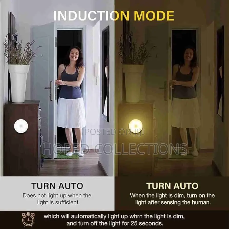 Body Induction Light