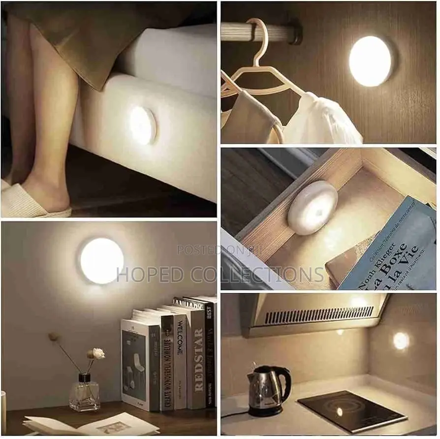 Body Induction Light