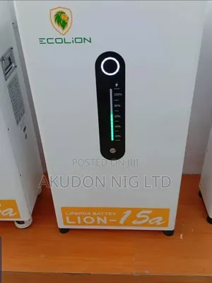 8kwh 48v Ecolion Lithium Ion Batteries