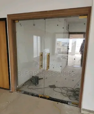 Tempered Glass Swing Door