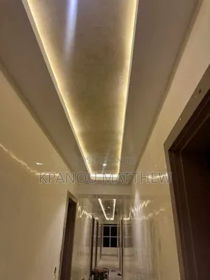A Professional Painter