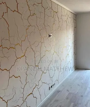 A Professional Painter