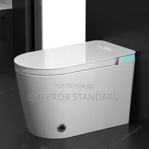 Smart Toilet Wc
