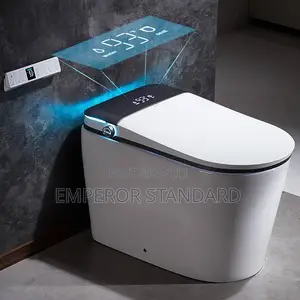 Luxury Smart Toilet Wc