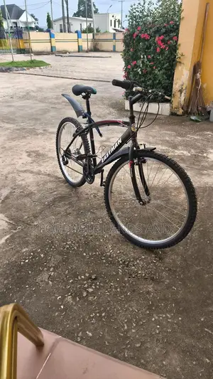 New Bicycle With Receipt
