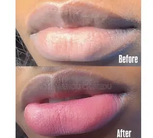 Permanent Pink Lip Combo