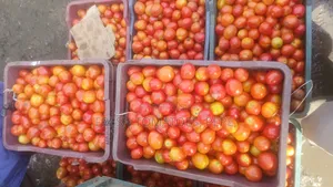 Vegetable, Tomatoes in Crate
