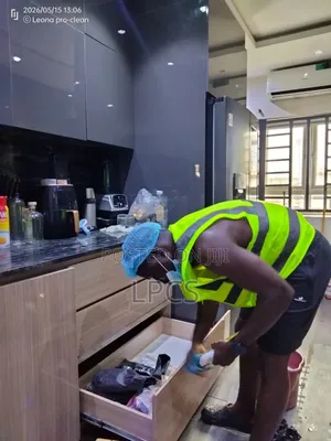 Professional Cleaning Services