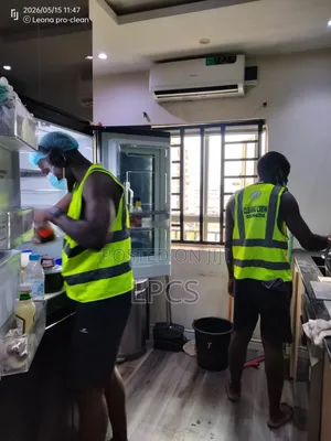 Professional Cleaning Services