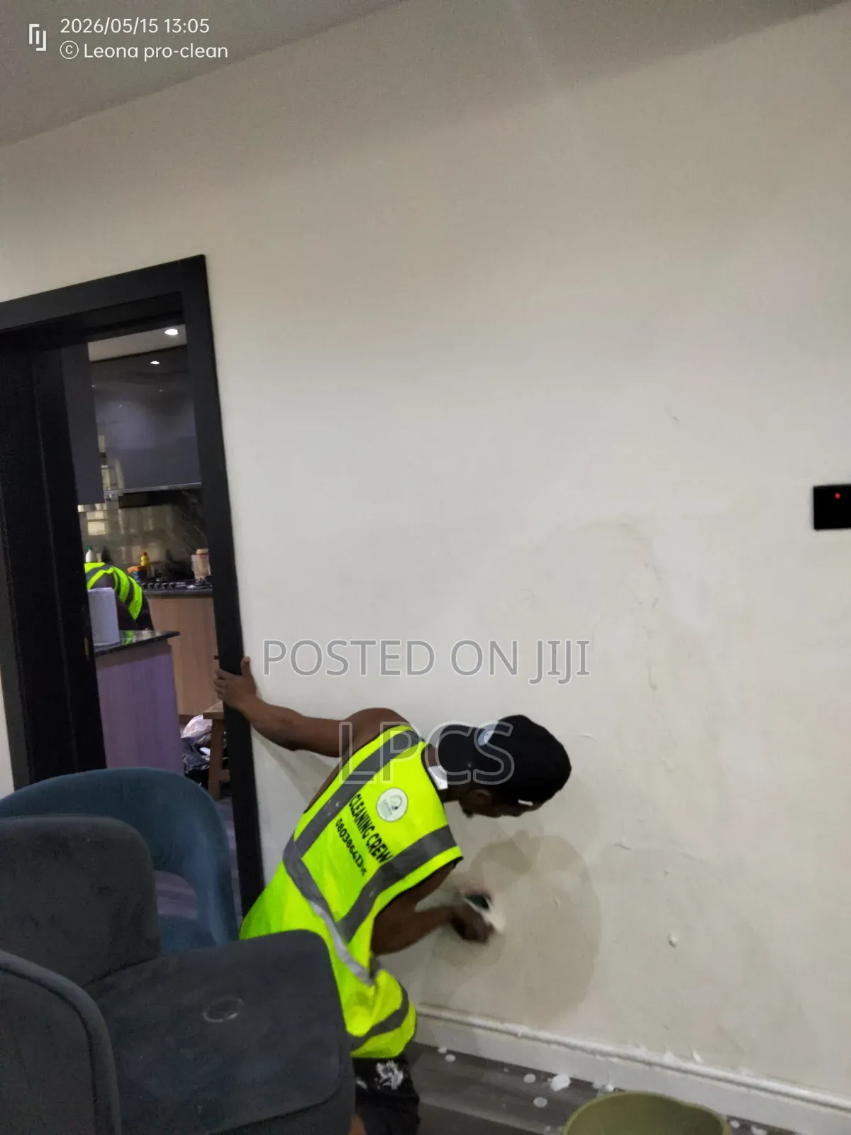 Professional Cleaning Services