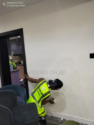 Professional Cleaning Services