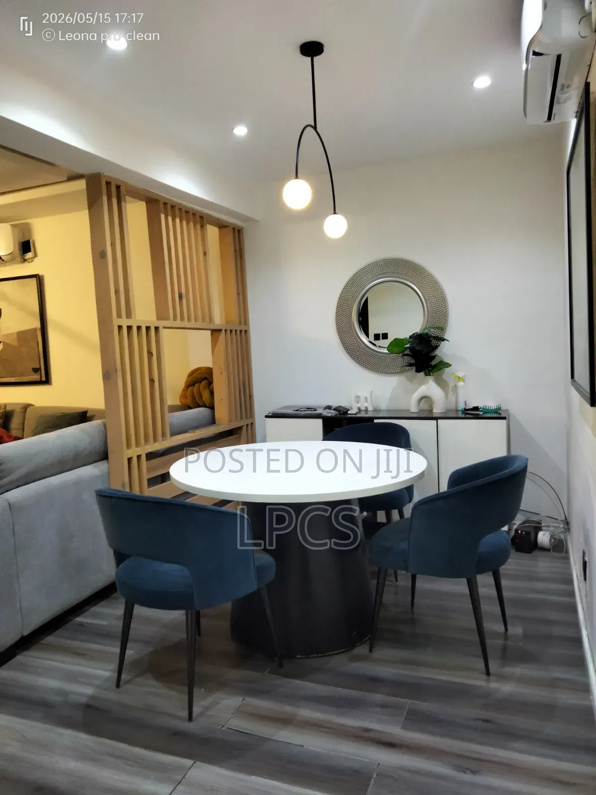 Professional Cleaning Services