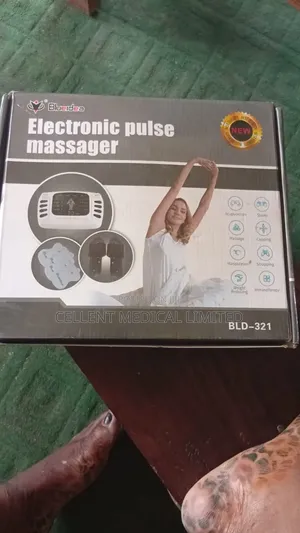 Electronic Pulse Massager