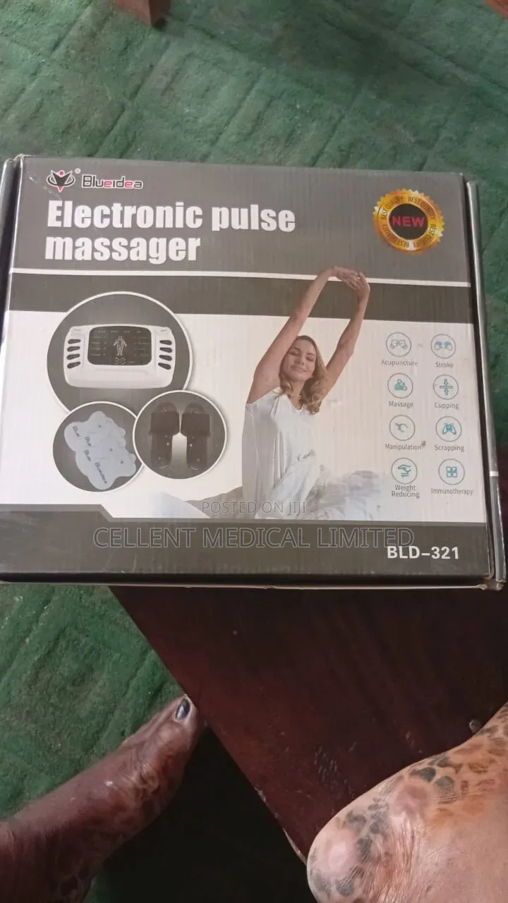 Electronic Pulse Massager