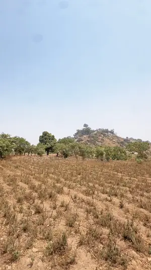 Plot of Land for Sale in Katampe