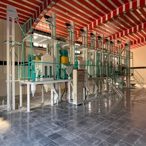 Complete Rice Milling Plant Setup and Installation