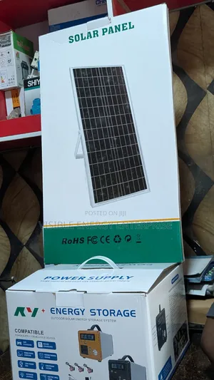 300w Energy Storage Solar System.(30w Panel)