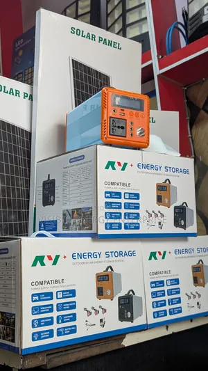 300w Energy Storage Solar System.(30w Panel)