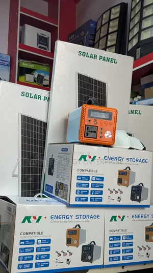 300w Energy Storage Solar System.(30w Panel)