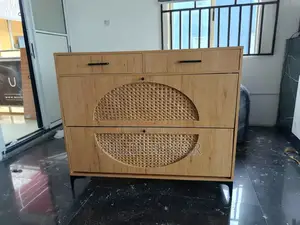 Yuli Arc Shoe Cabinet