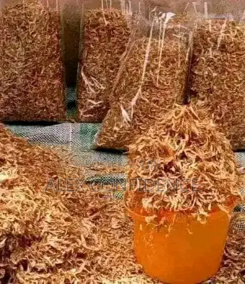 Food Items