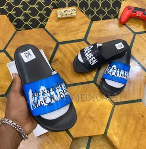 Alexandra Mc Queen Slides Slippers /Palms