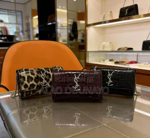 Classy Female Hand Bag