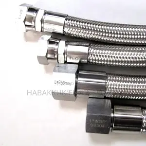 Braided Ss Hose