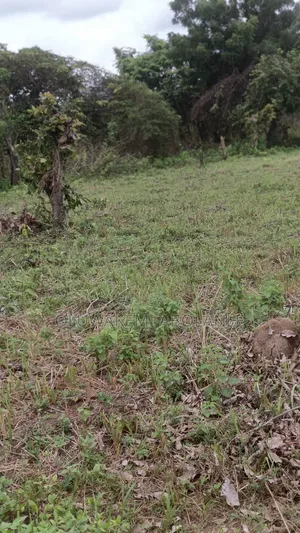Acres of Land at Kobape Abeokuta