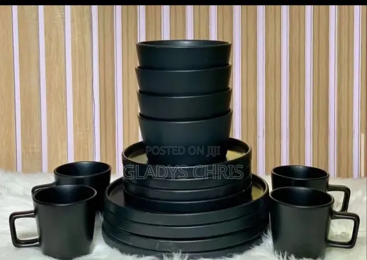 16 Pics Dinner Set