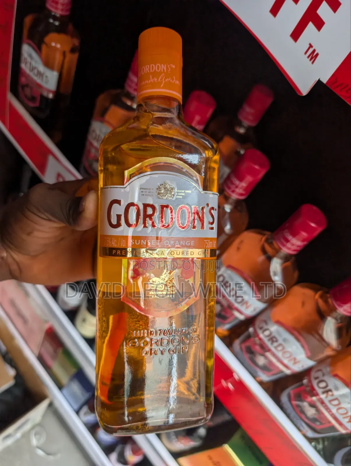 Godon's Sunset Orange Cartoon ( 22 Bottles )