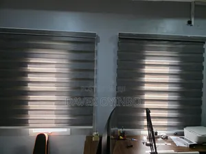 2 Window Blinds