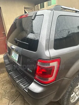 Ford Escape 2010 Gray