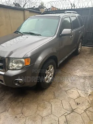 Ford Escape 2010 Gray