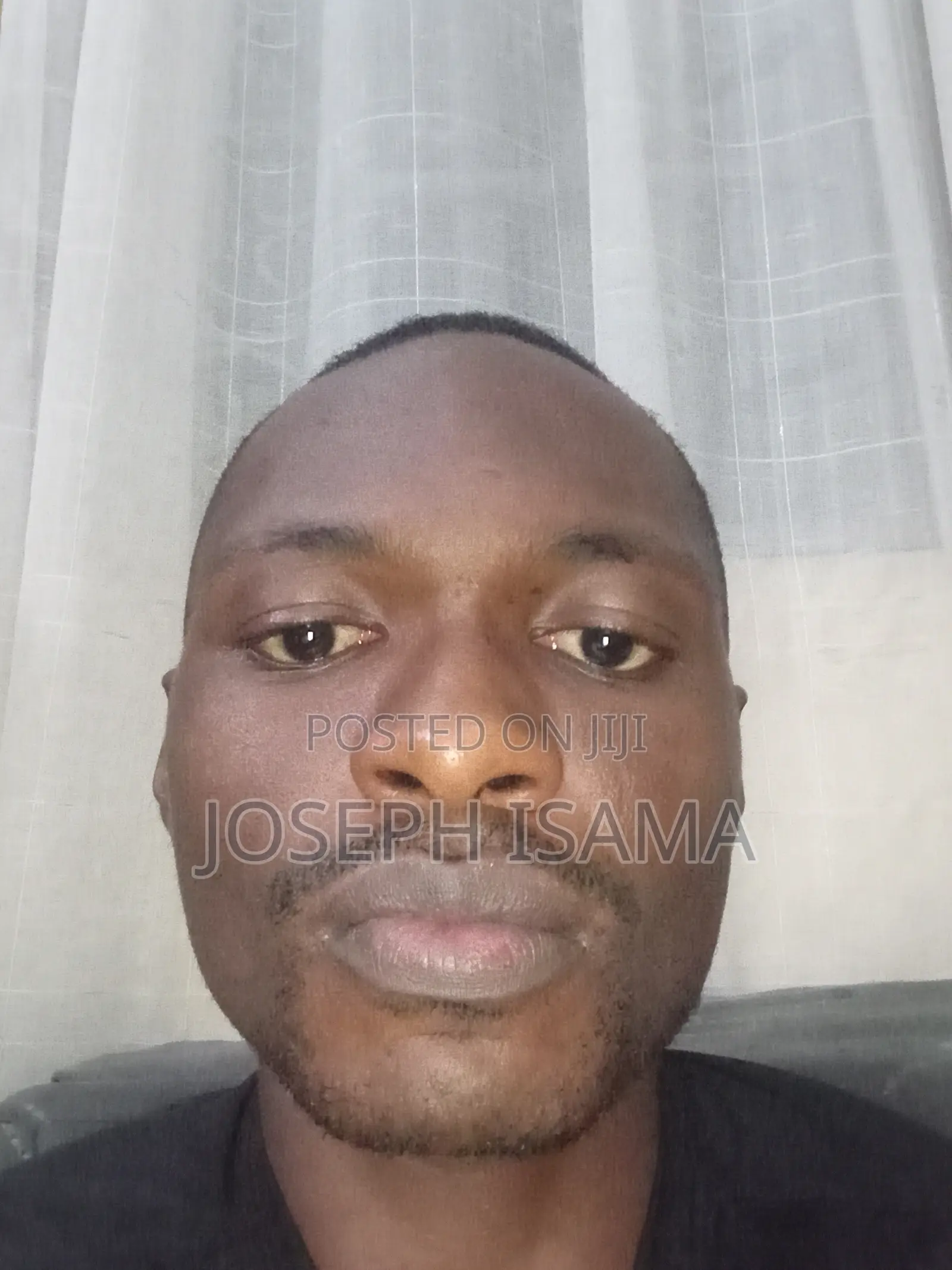 Manager in an Auto Firm