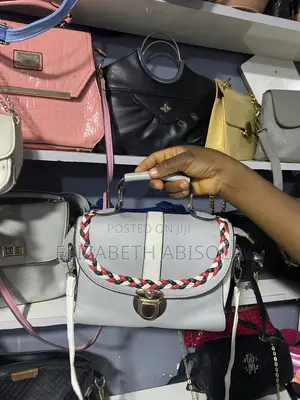 Ladies Handbag